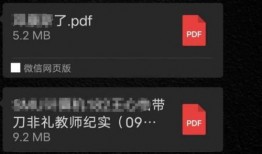 新瓜最新爆料pdf,热点事件背后真相全解析